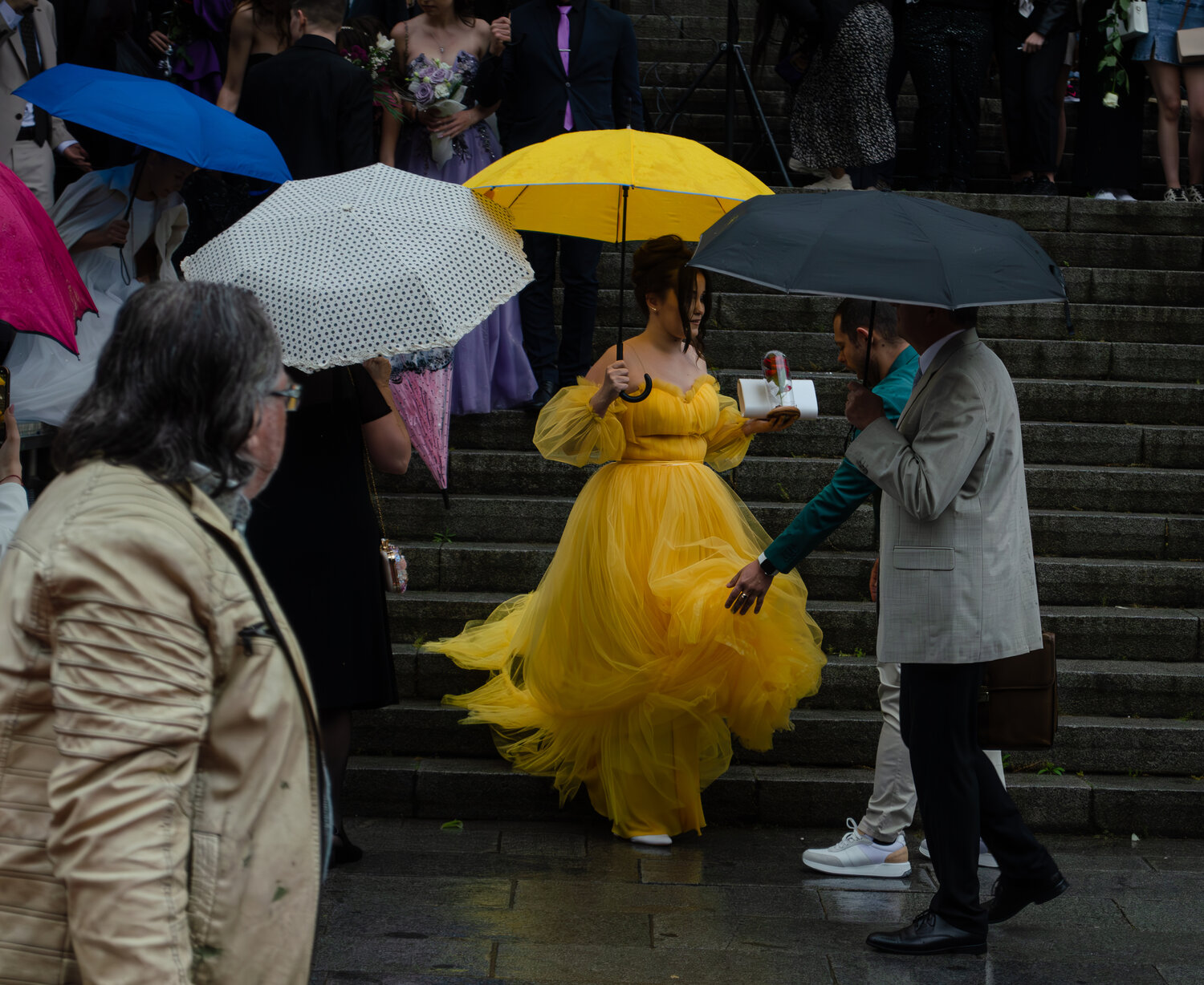 Photo #14155278