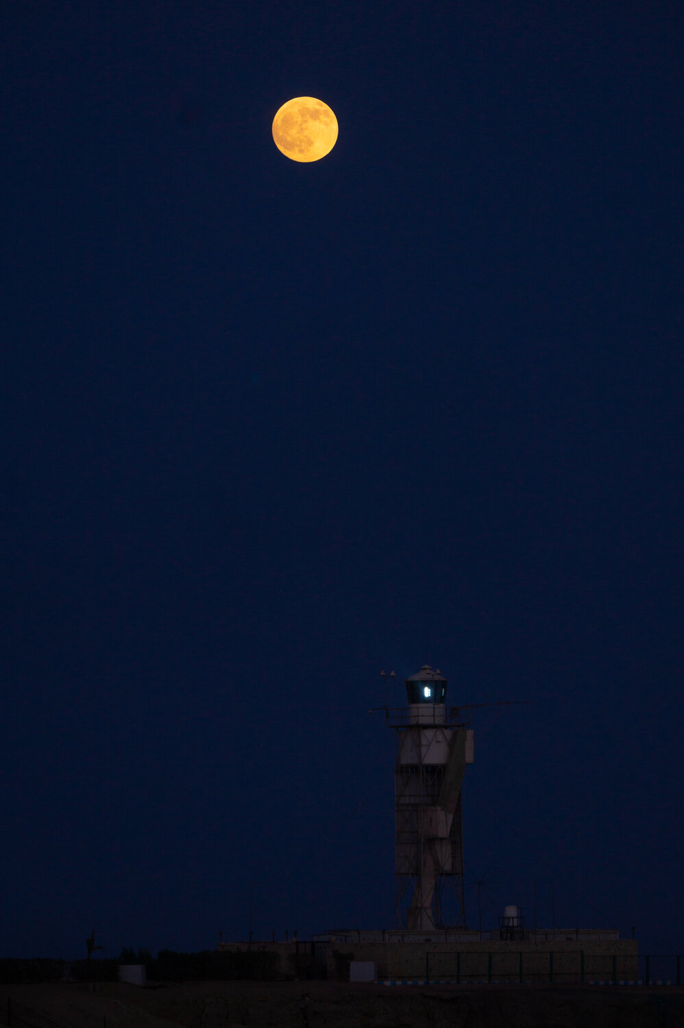 Photo #14155383