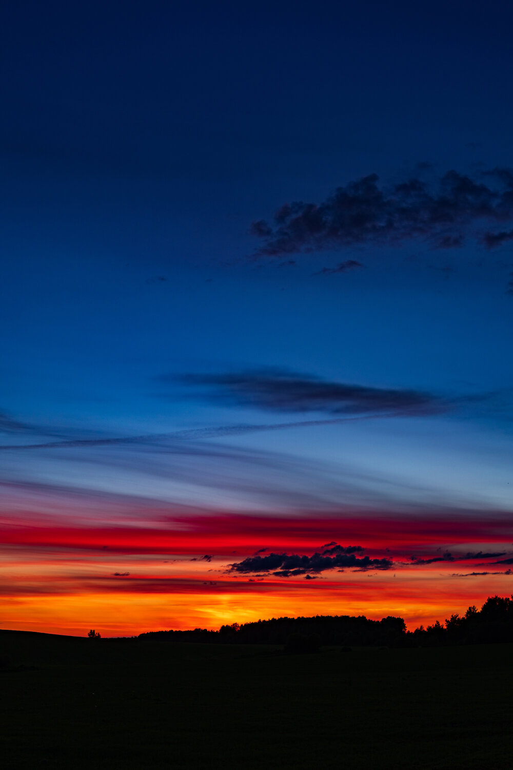Photo #14155510