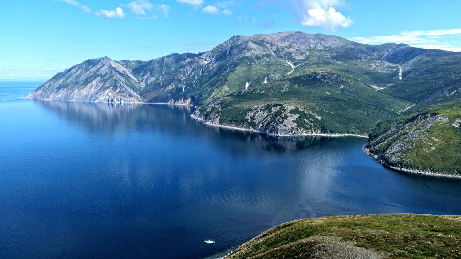 Photo #14155635