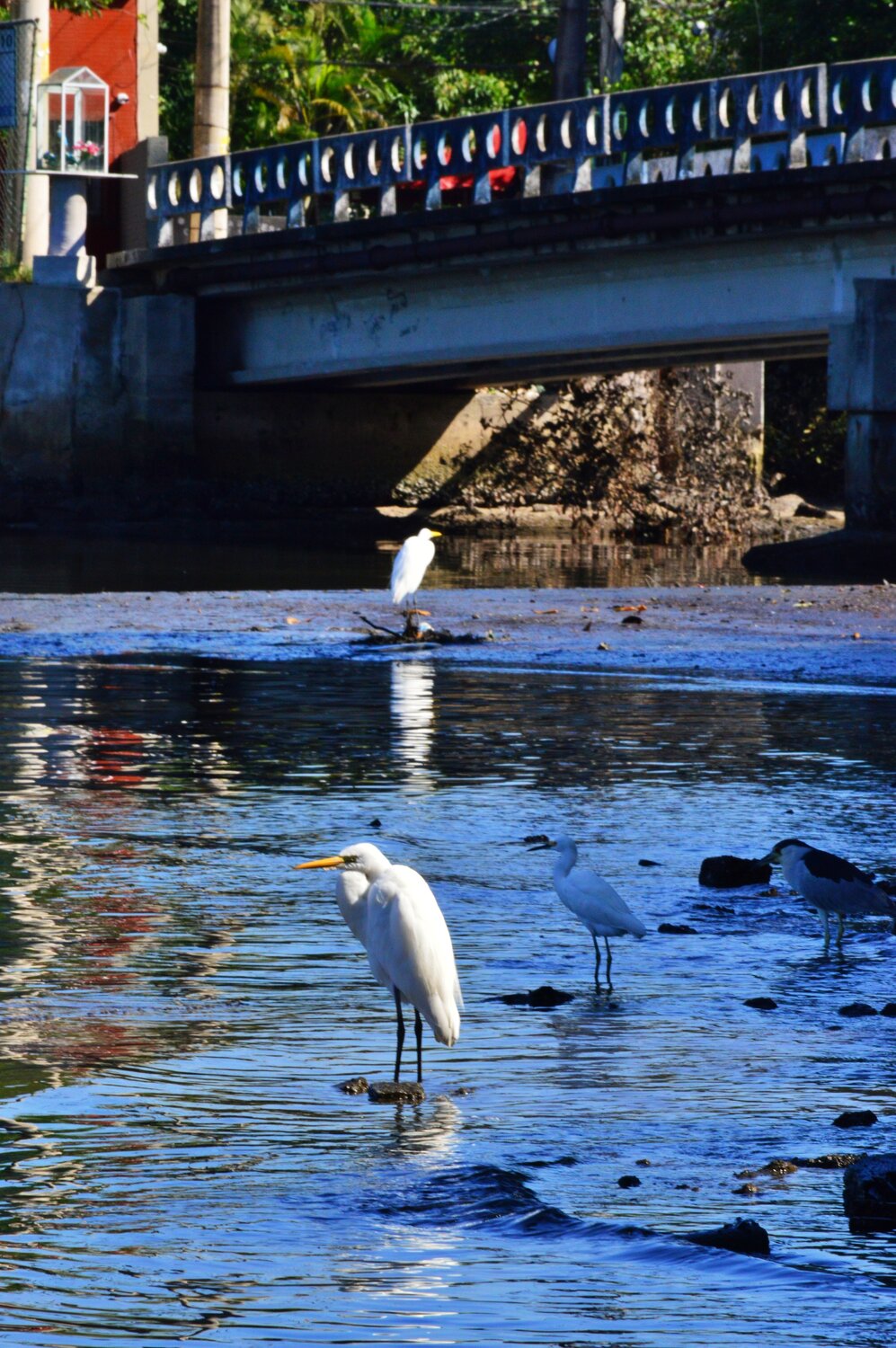 Photo #14155744