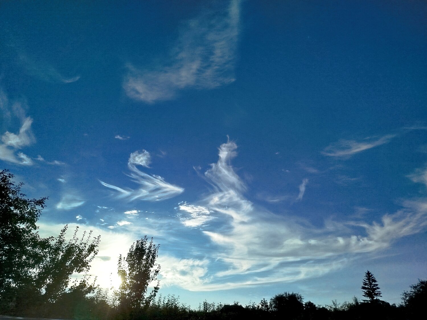 Photo #14155751