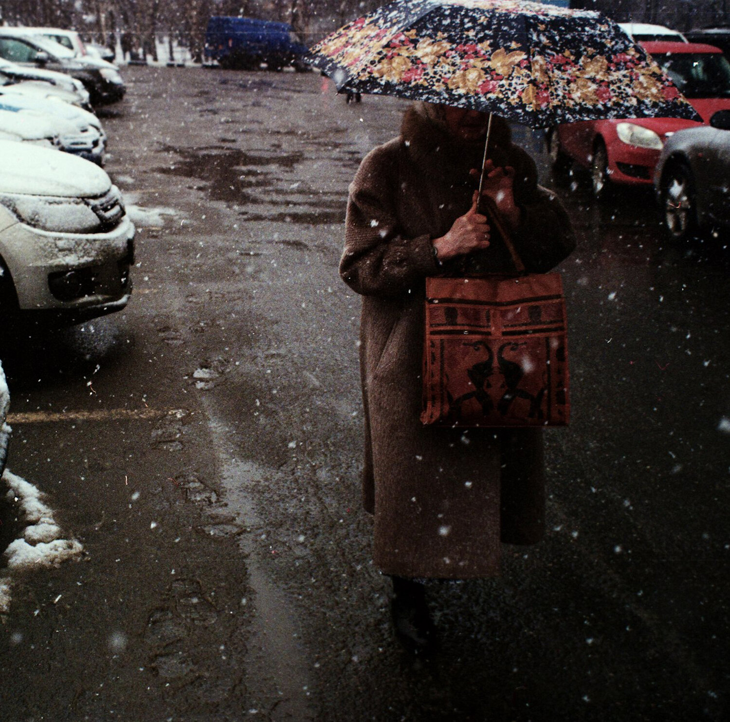 Photo #14155754