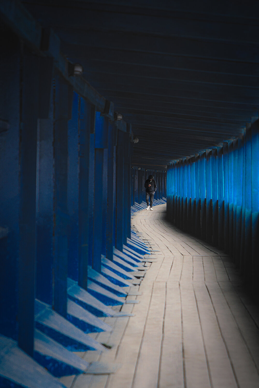 Photo #14155859