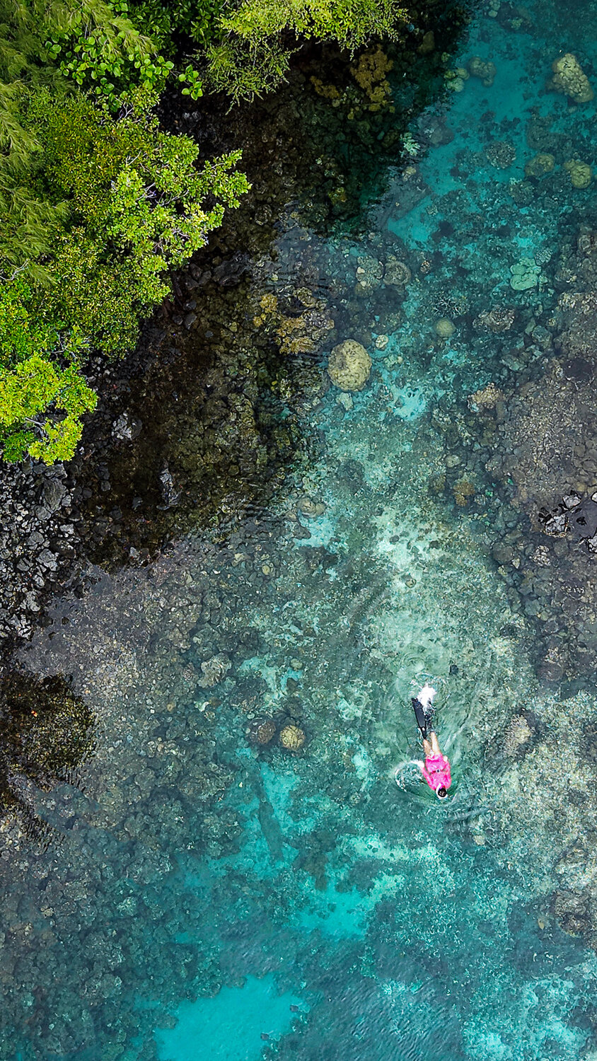 Between Reef and Silence