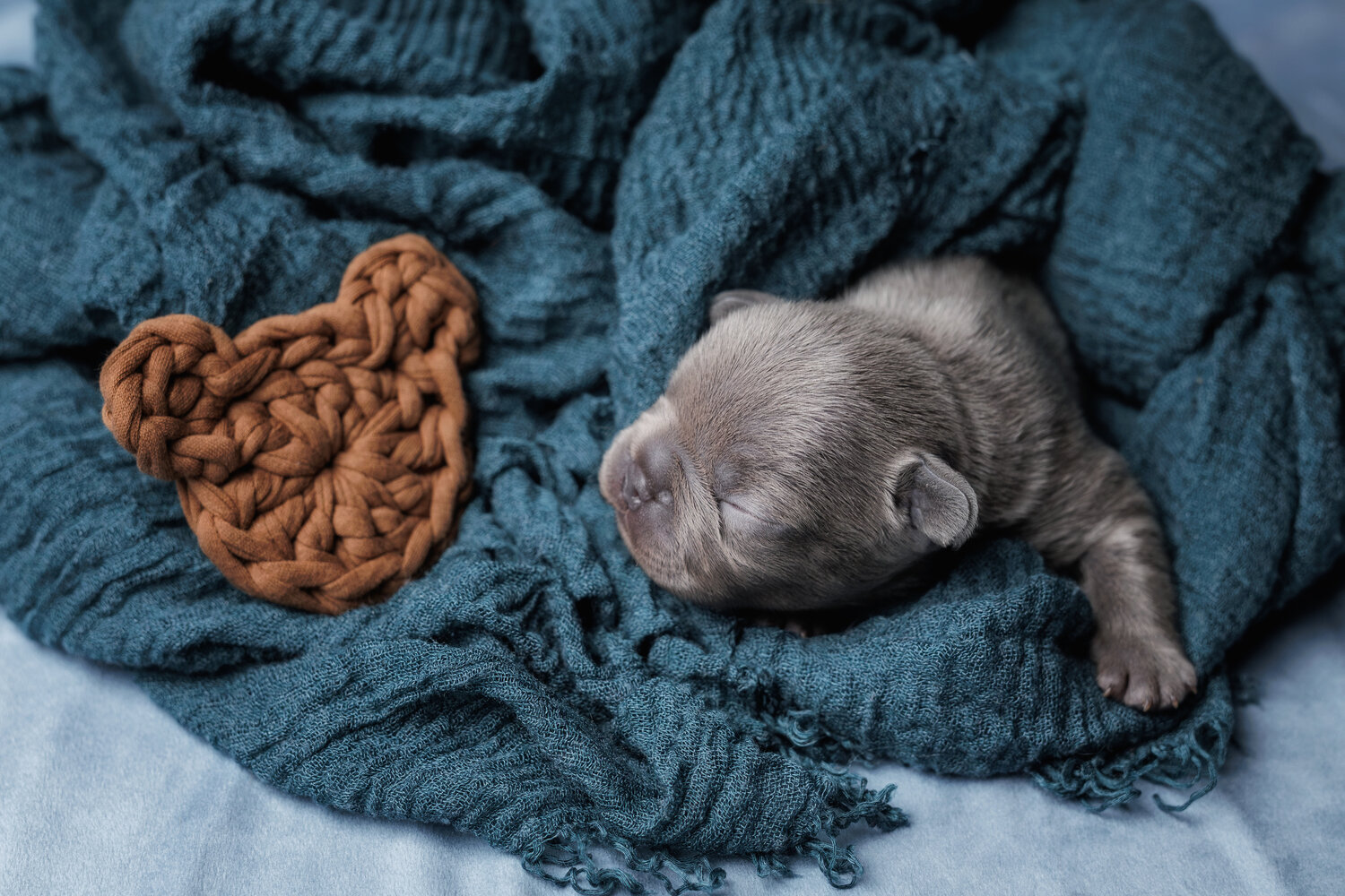 Photo #14156223