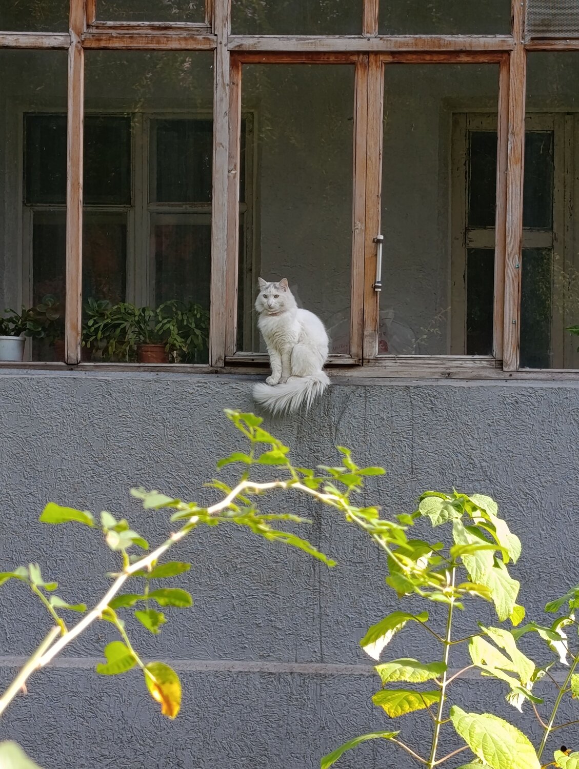 Photo #14156657