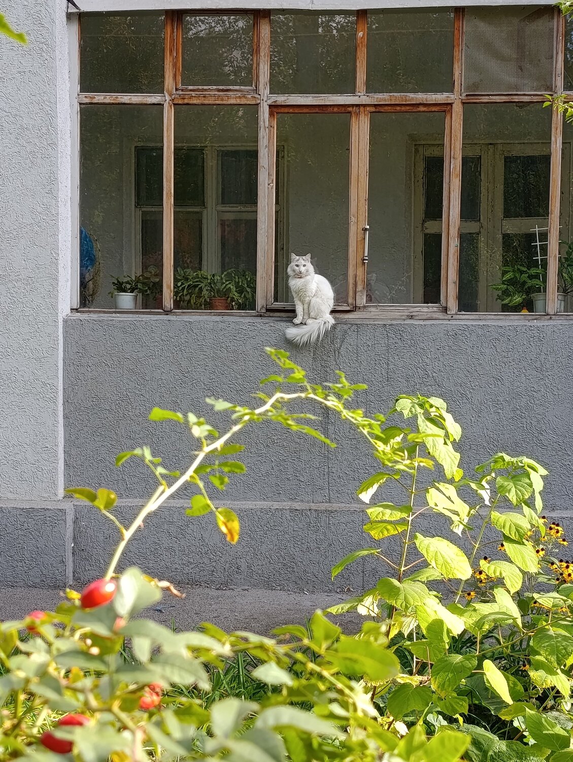 Photo #14156659