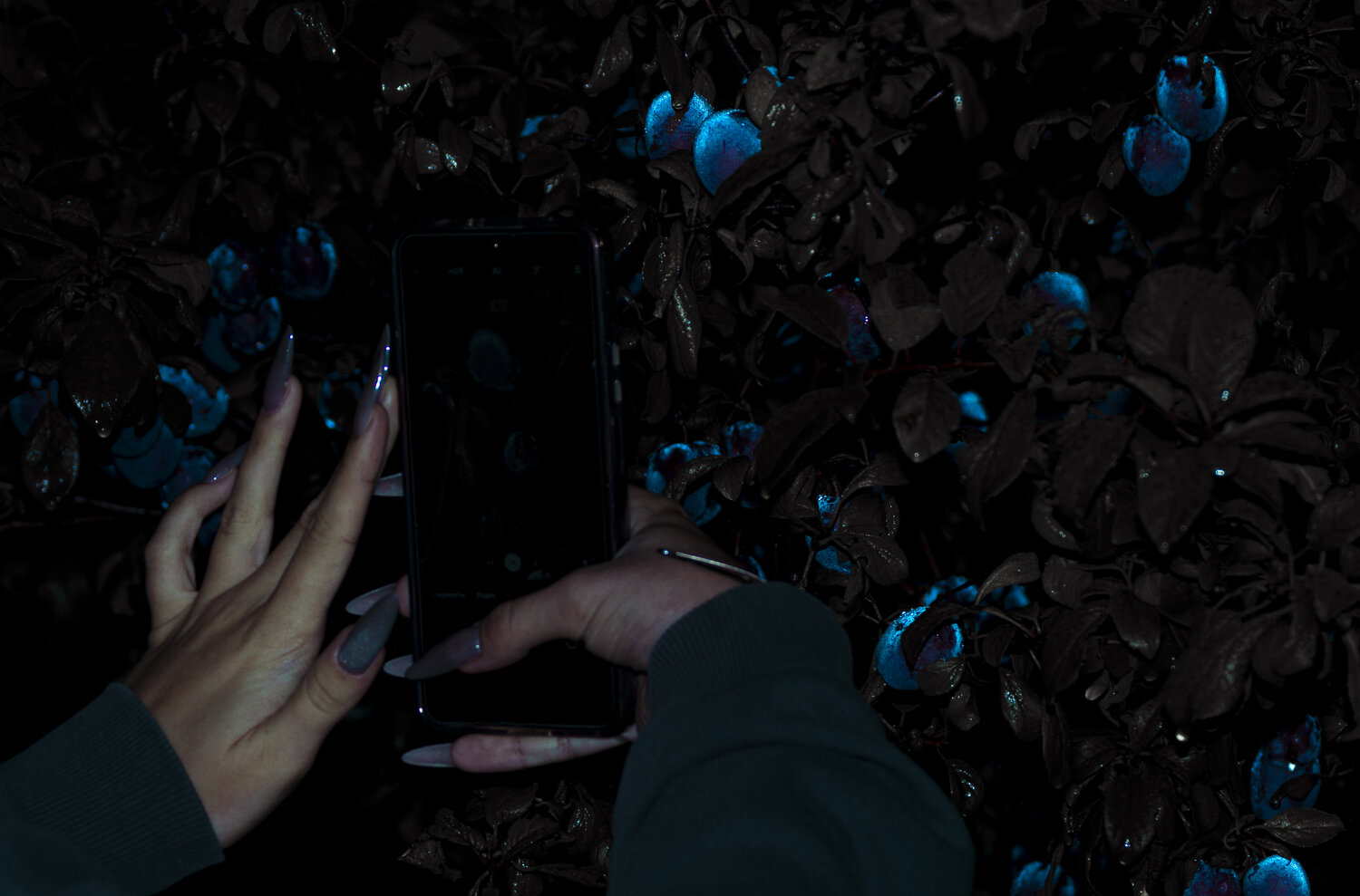Photo #14156762