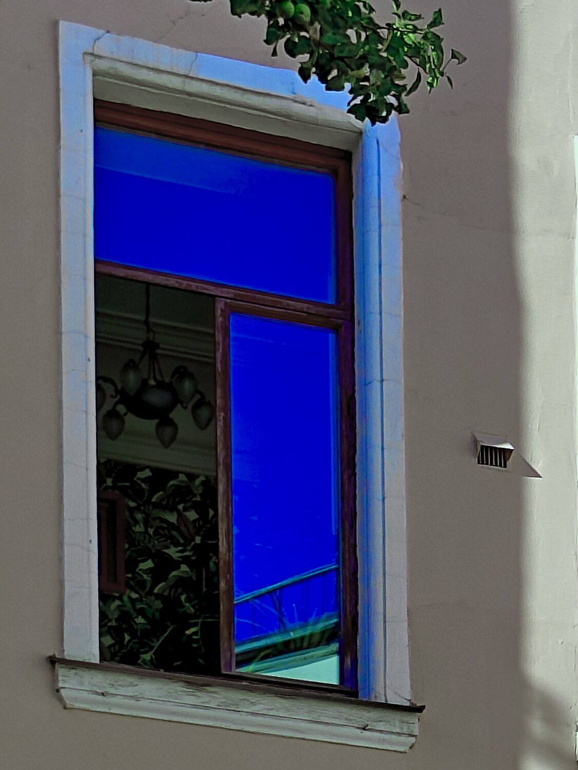 Photo #14157055