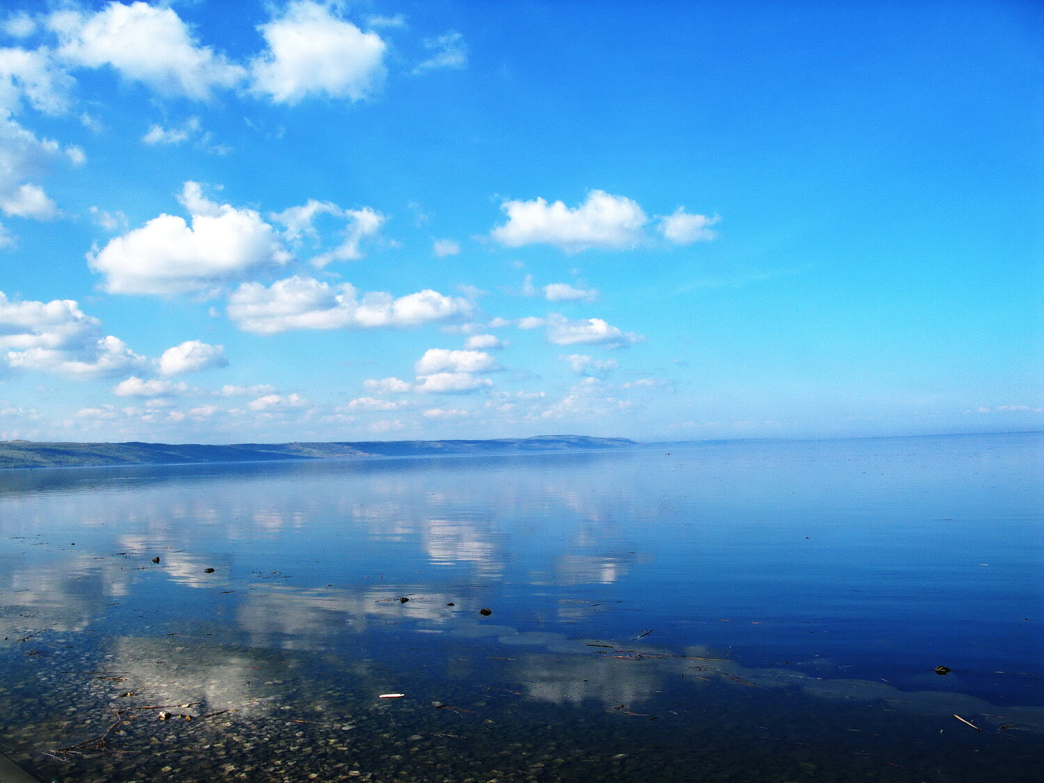 Photo #14157096