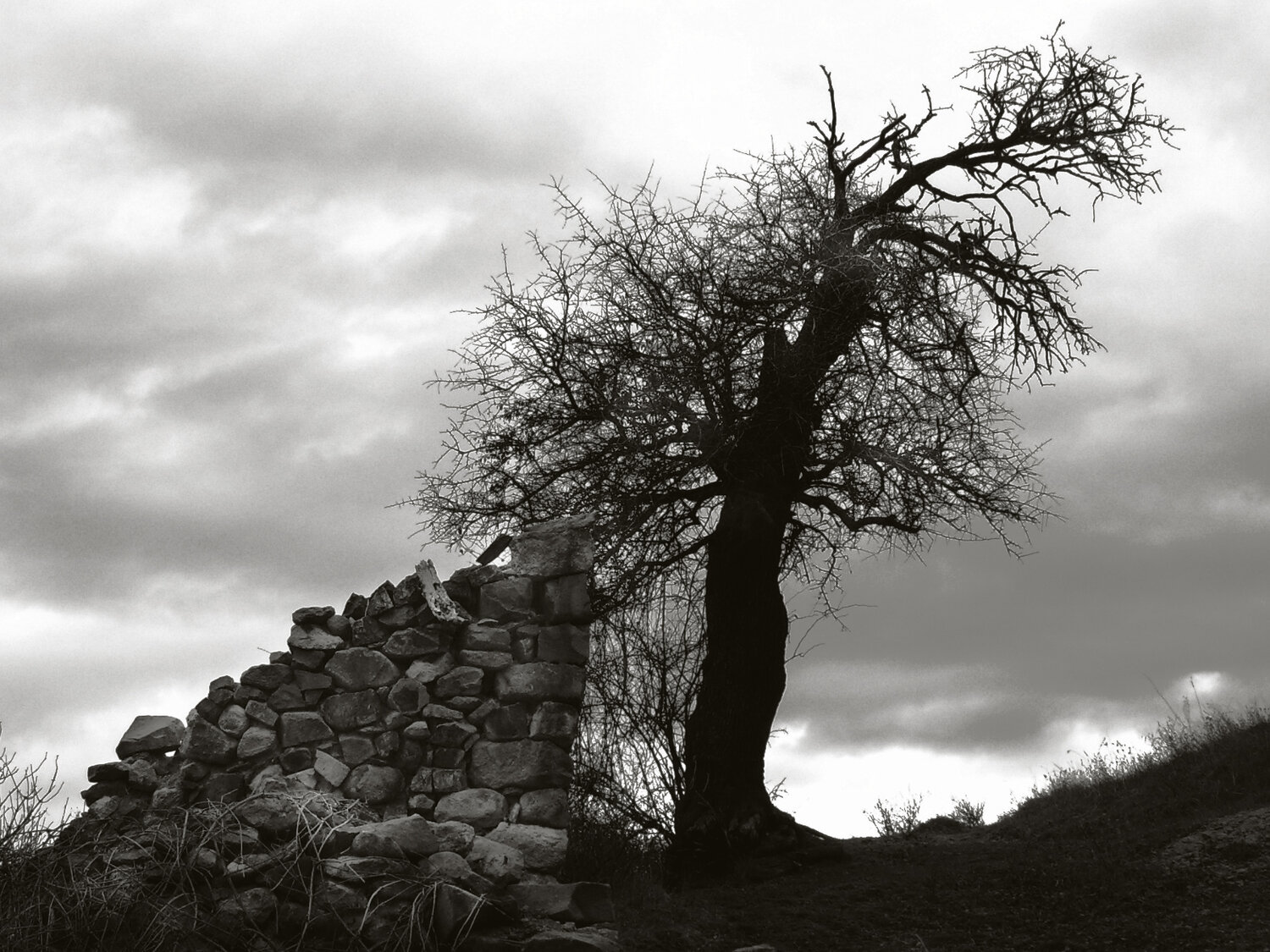 Photo #14157165