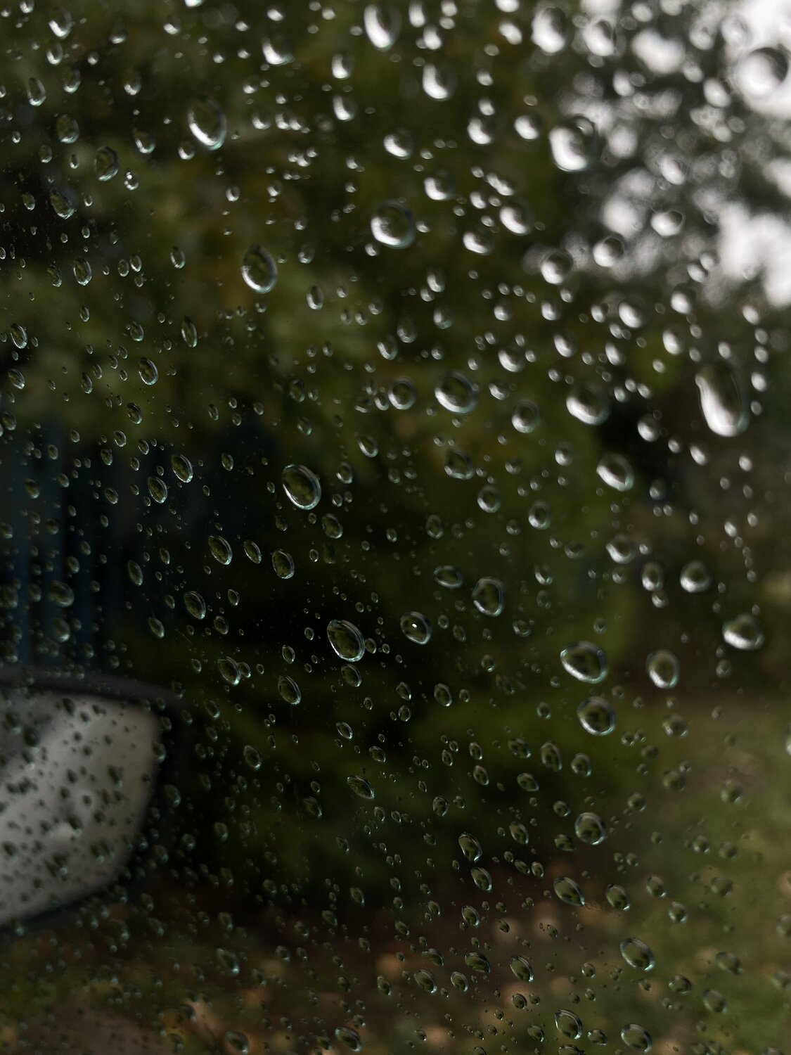 Photo #14157175