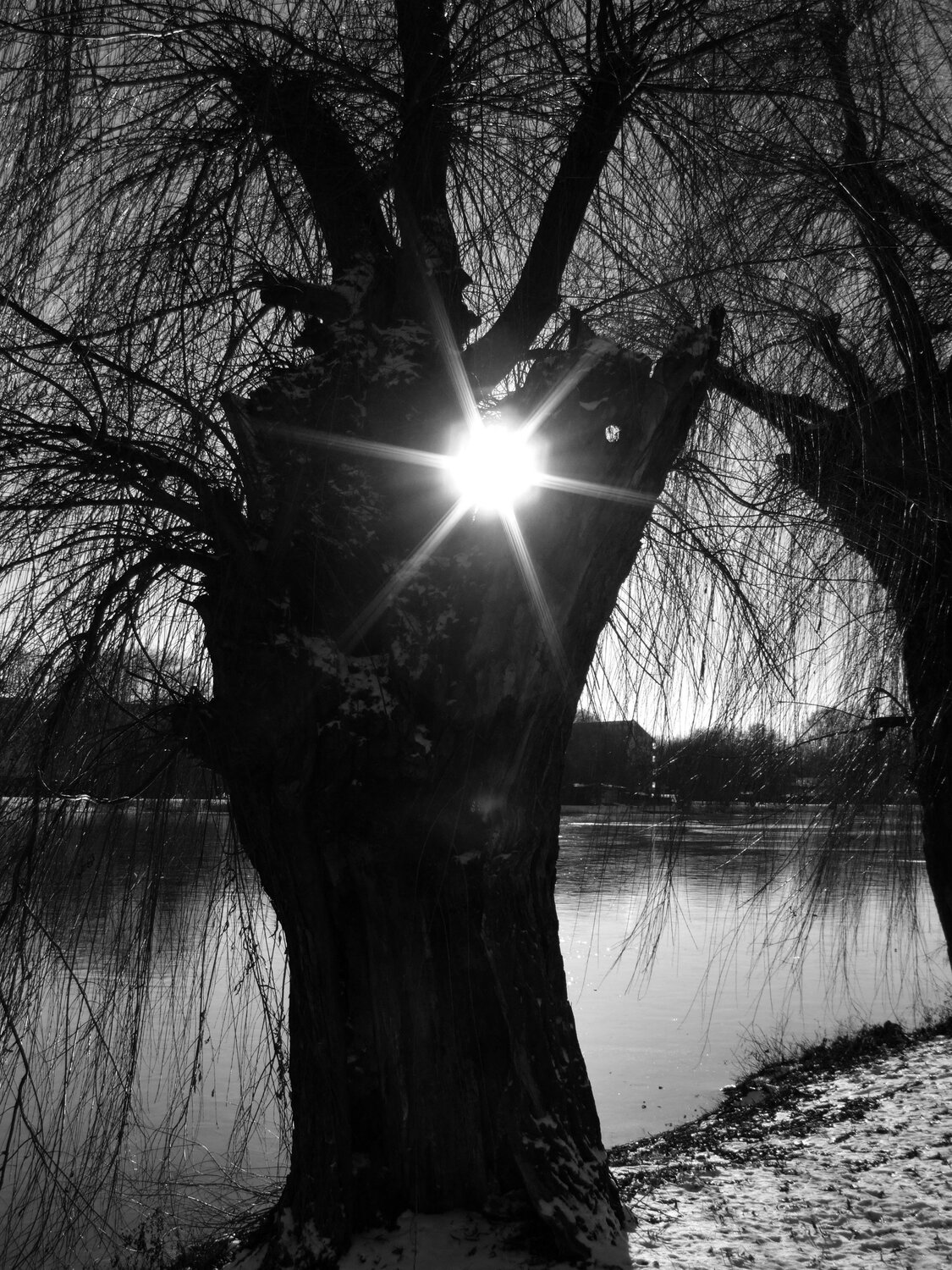 Photo #14157189