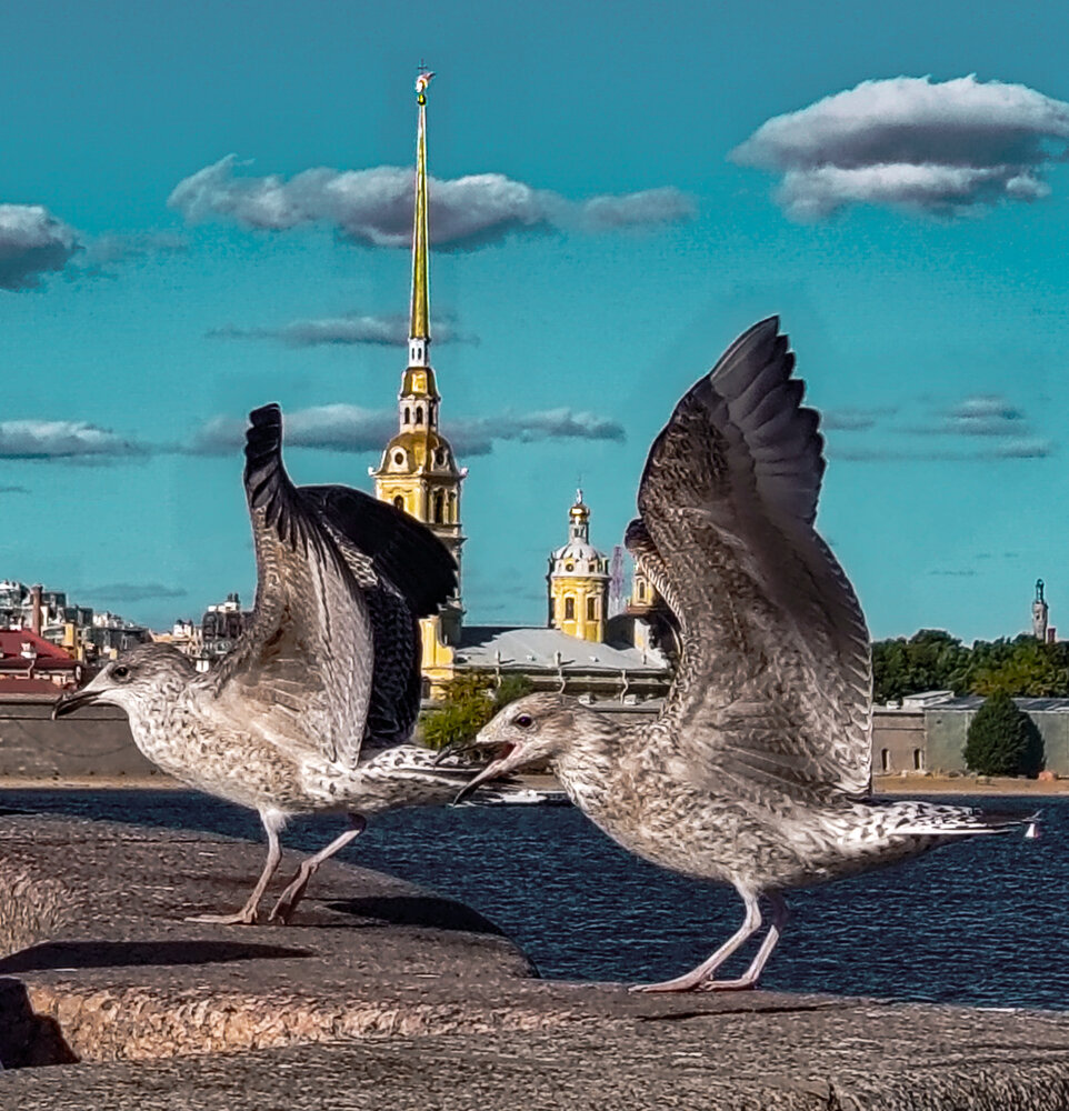 Photograph by Дайана