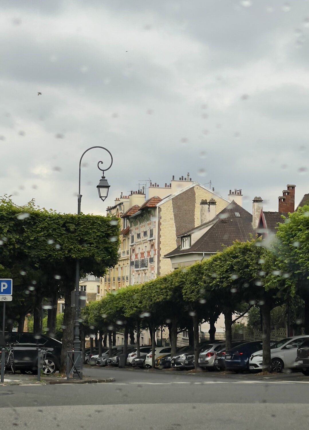 Photo #14157546