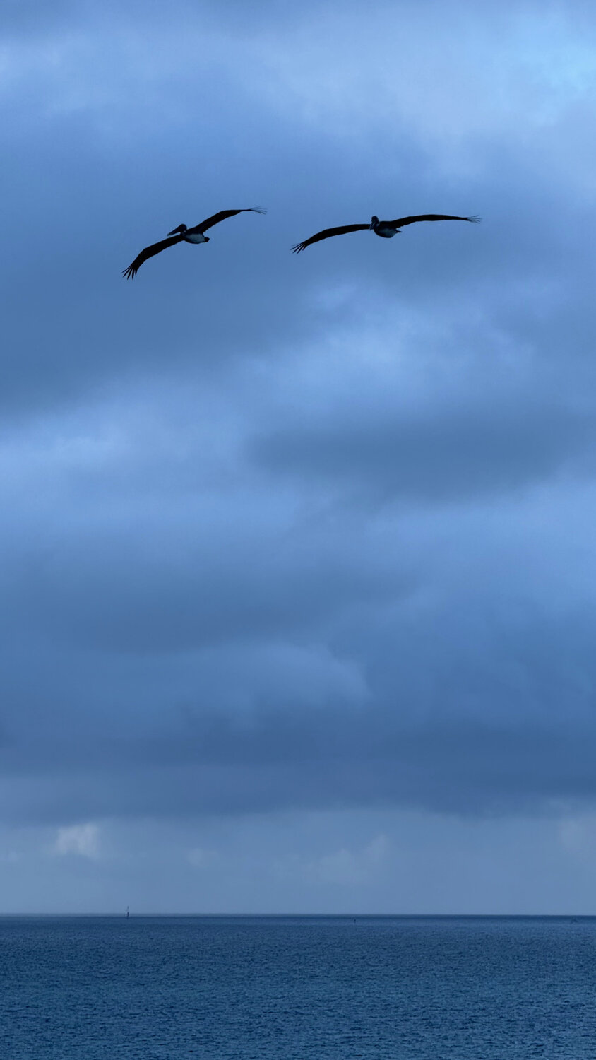 Photo #14157675