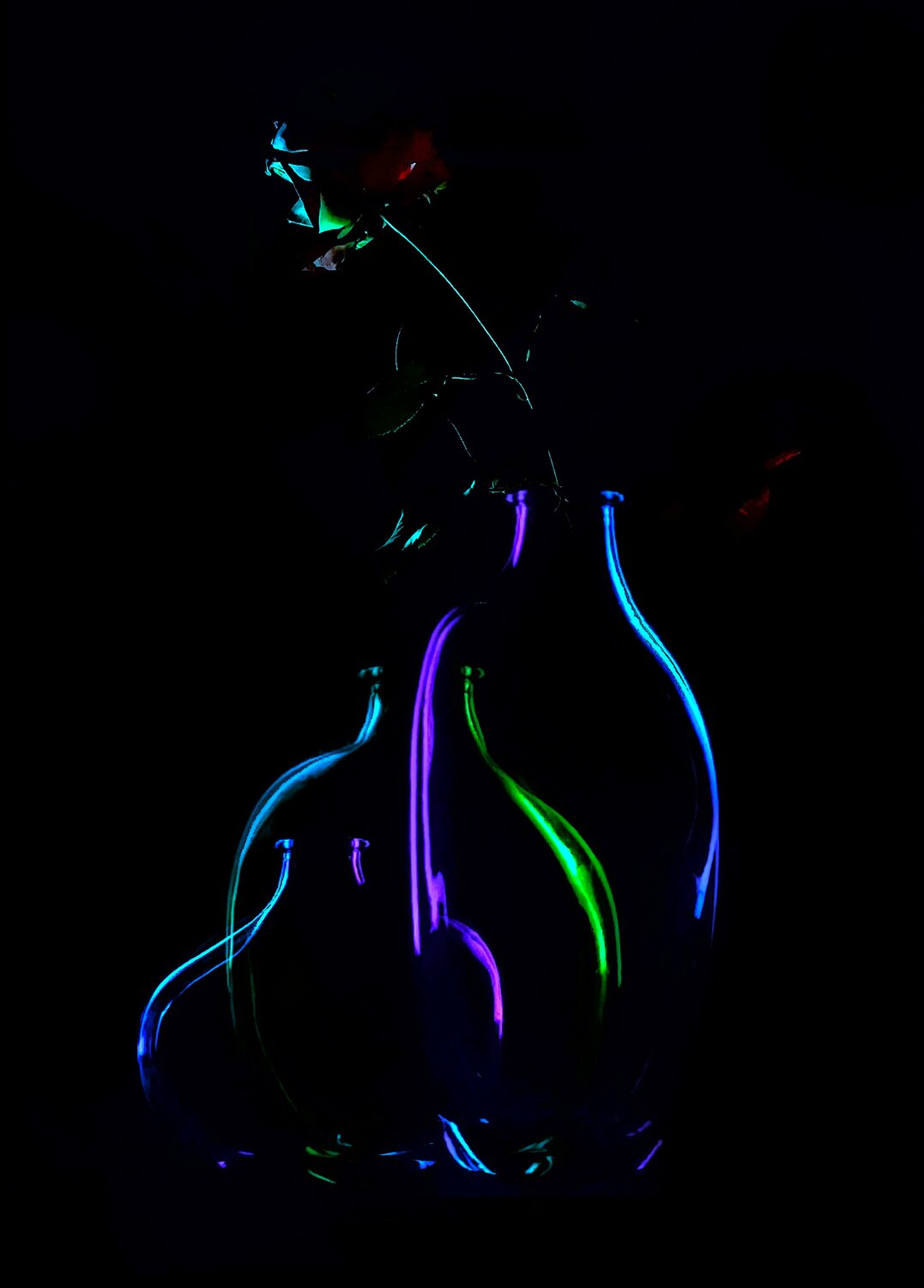 Photo #14157793