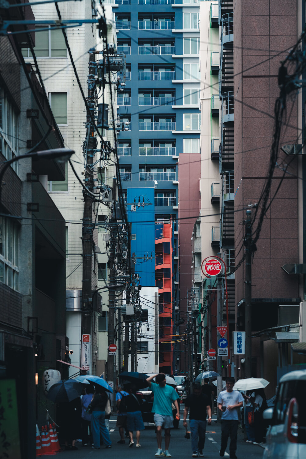 Photo #14157833