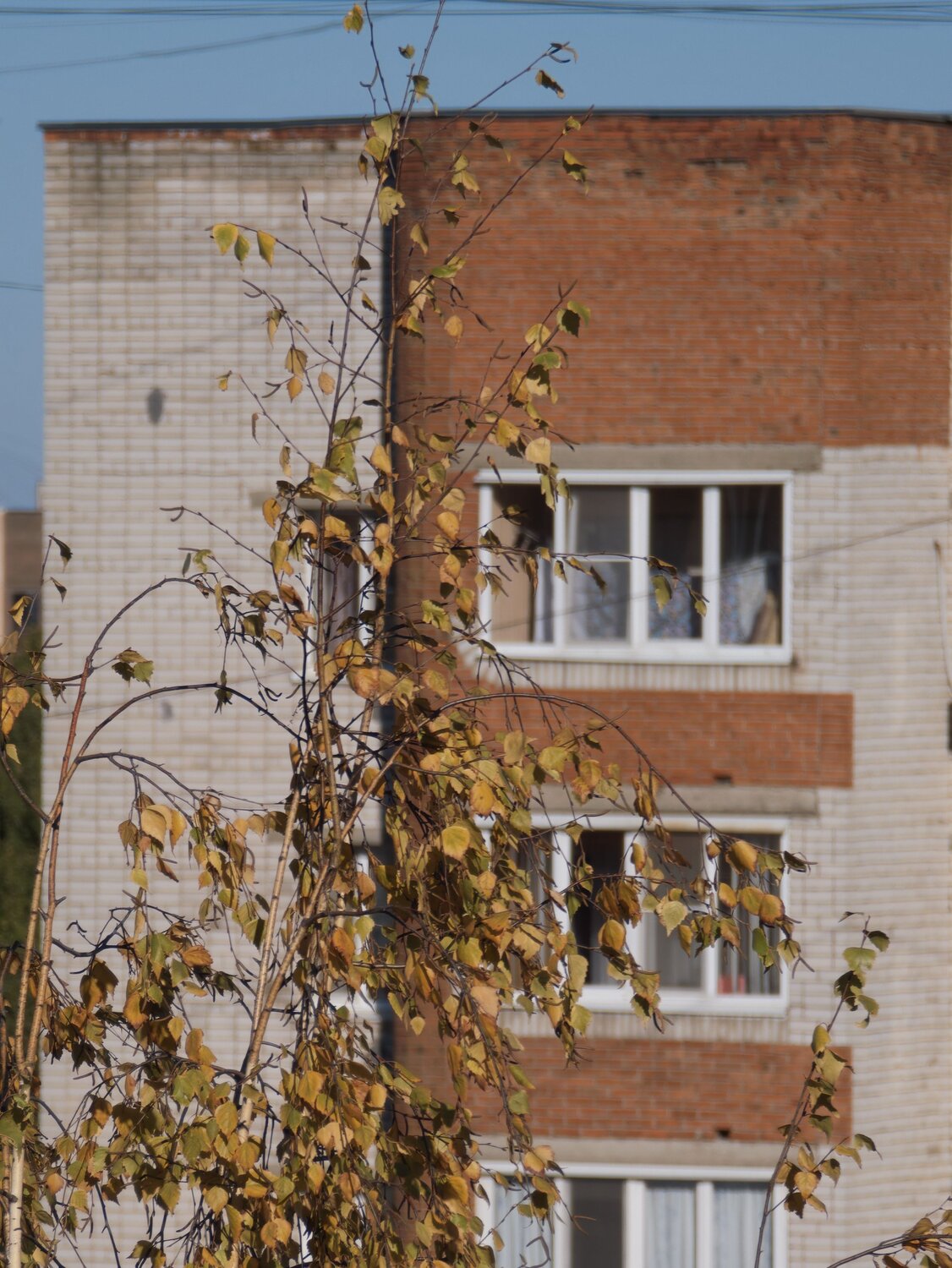 Photo #14157894