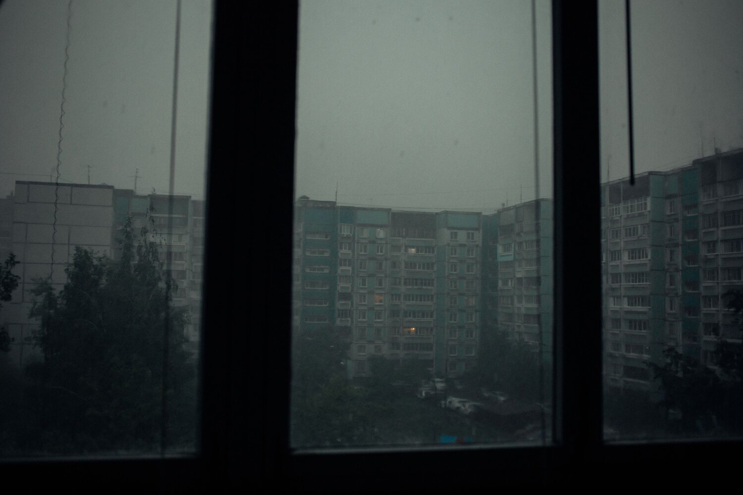 Photo #14157985