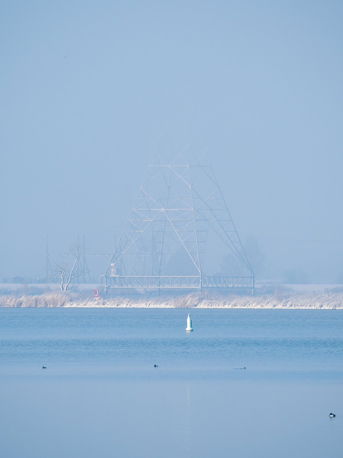 Photo #14158068