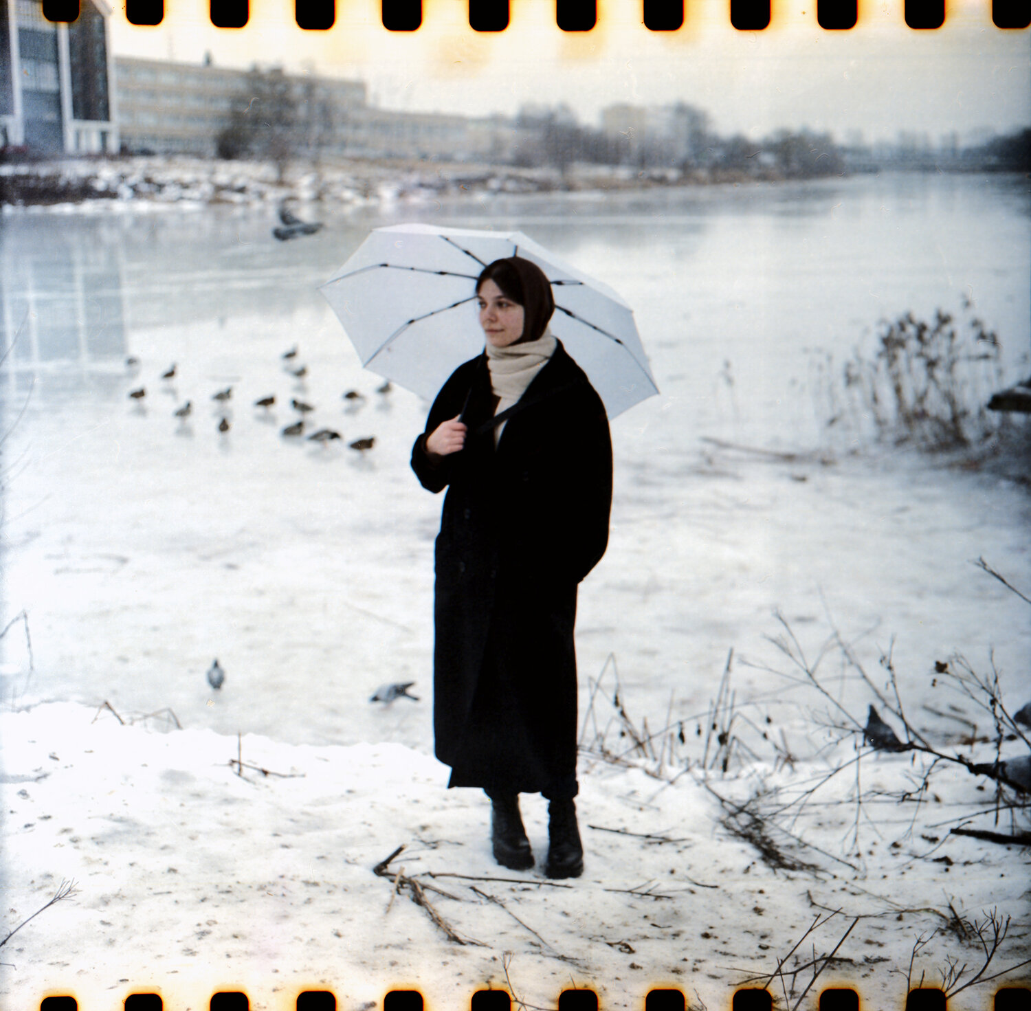 Photo #14158205