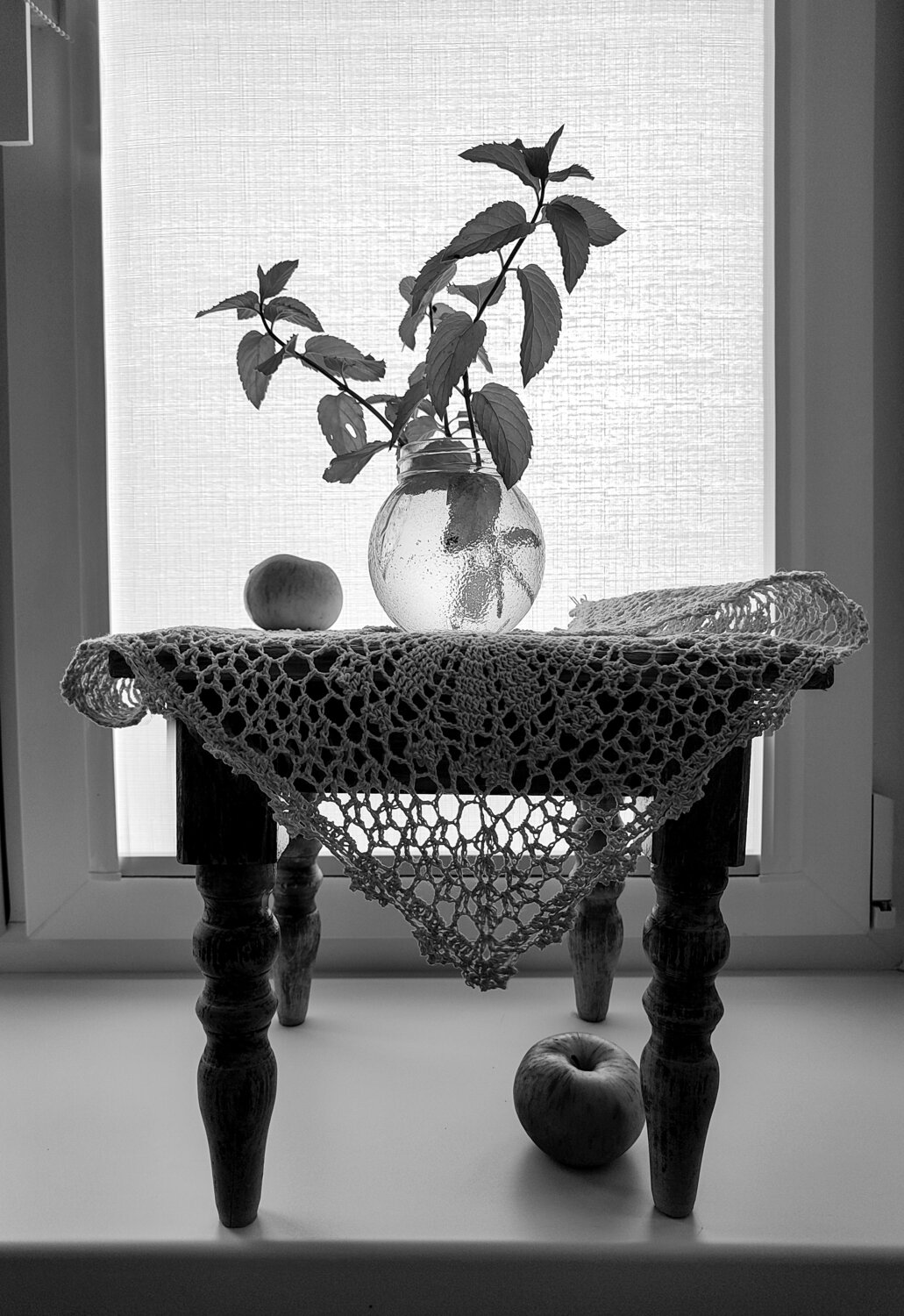 Photo #14158391