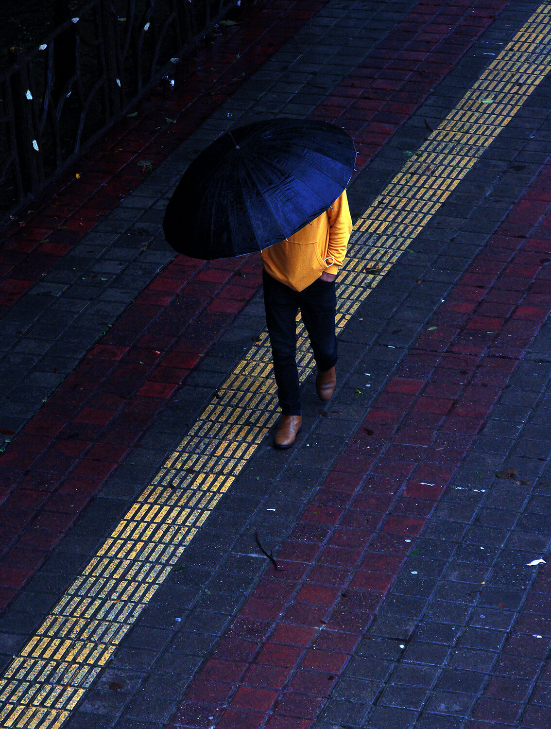 Photo #14158541