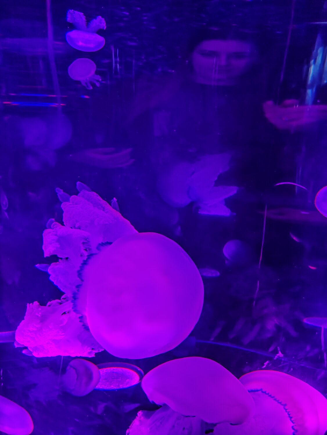 Photo #14158676