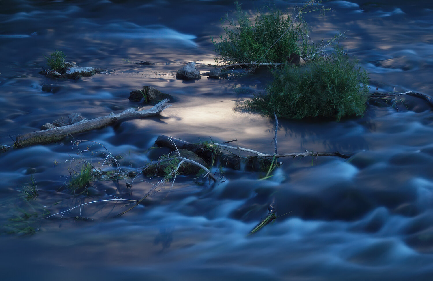 Photo #14158803