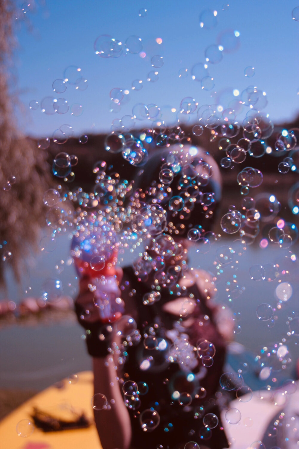 Photo #14158863