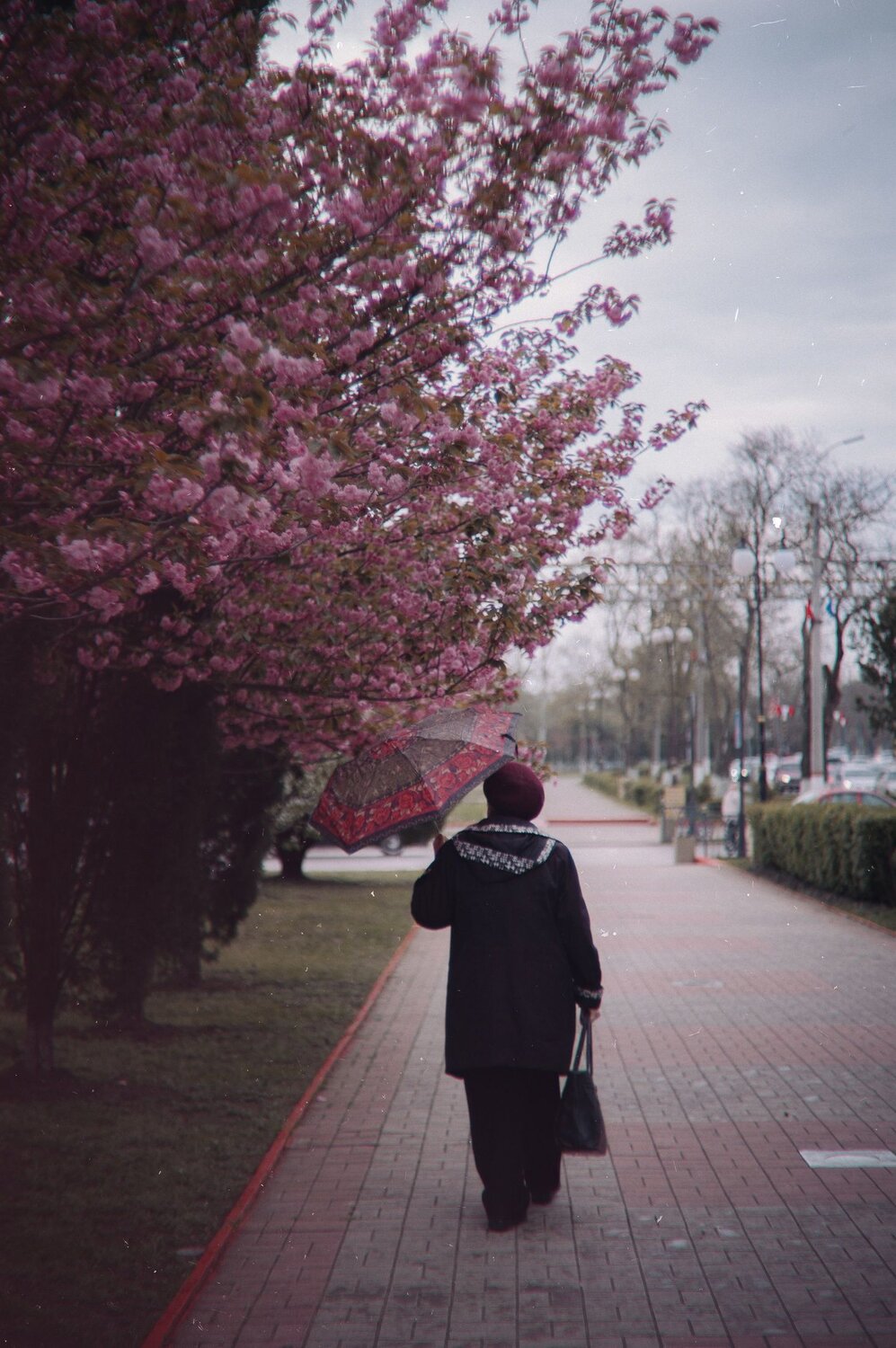 Photo #14159093