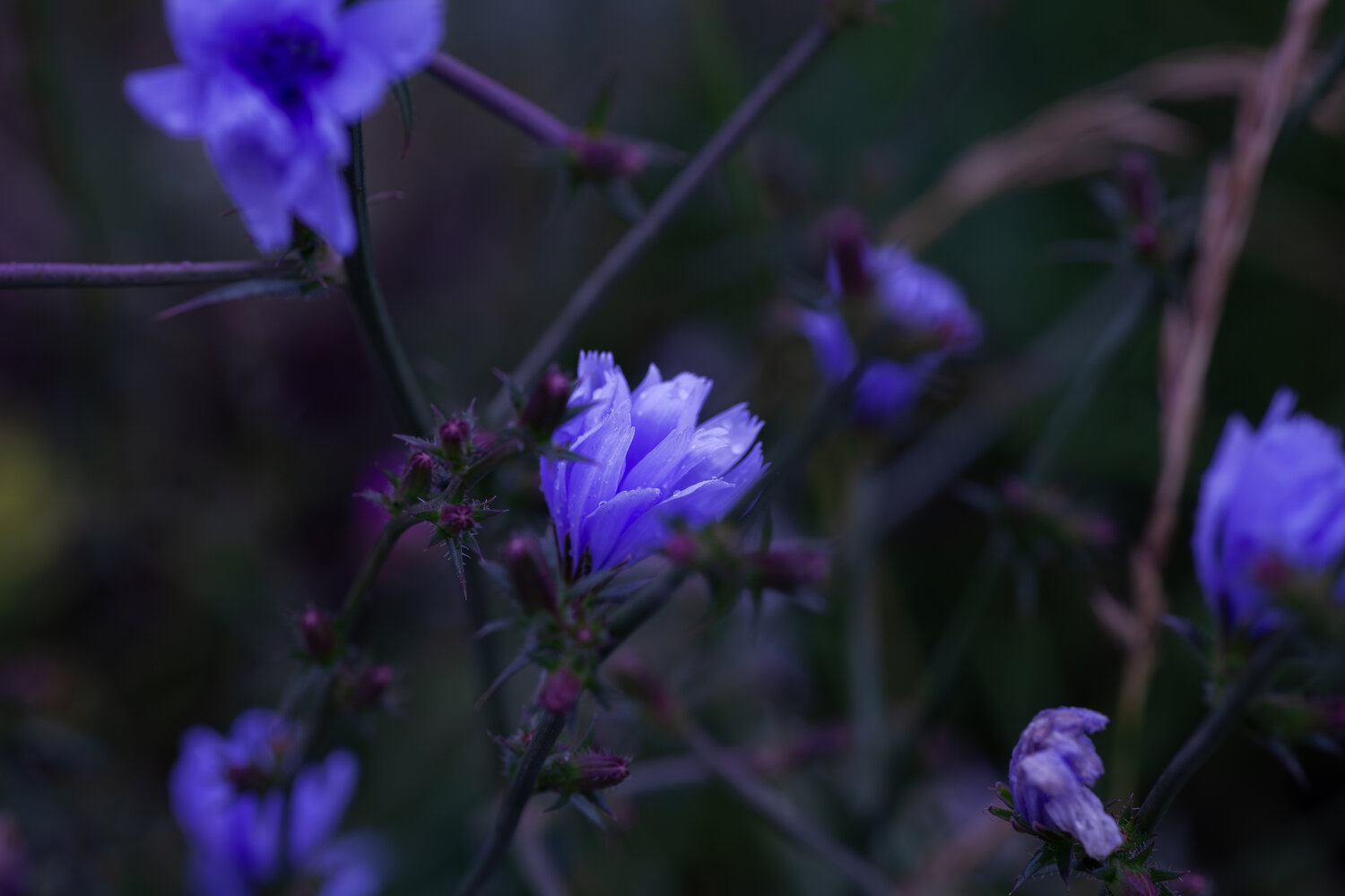Photo #14159278
