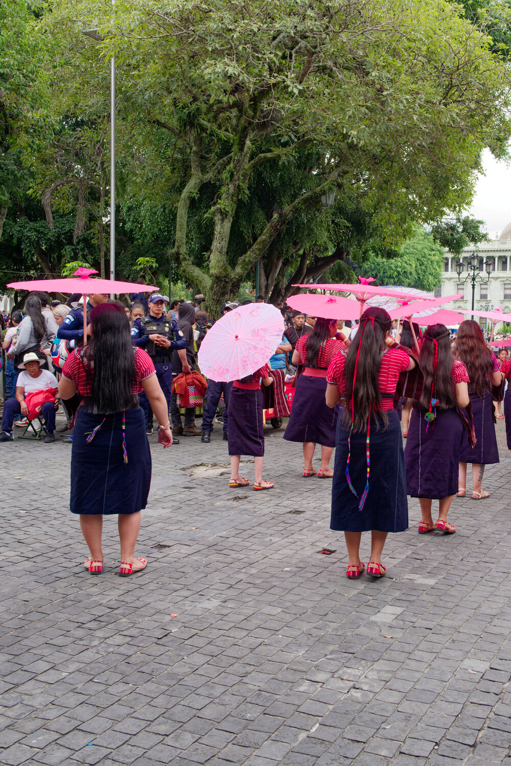 Photo #14159397
