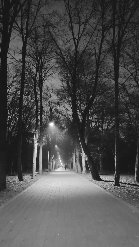 Photograph by Ирина Григорьевна