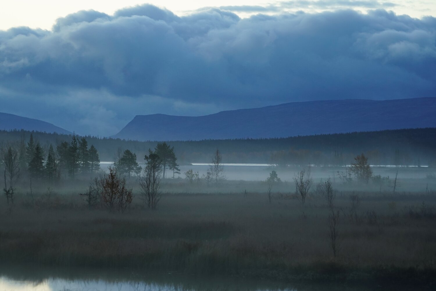Photo #14159515