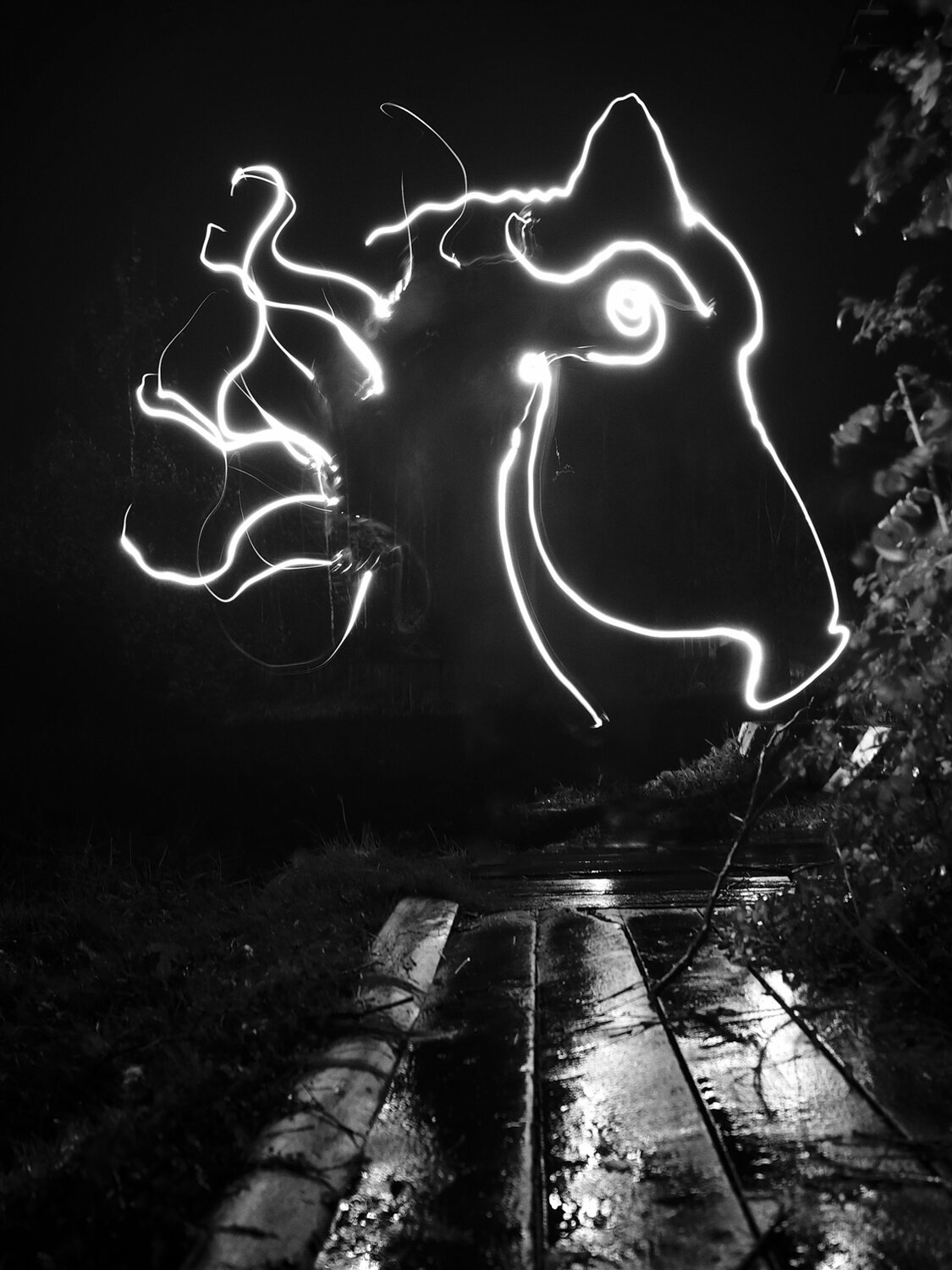 Photo #14159541
