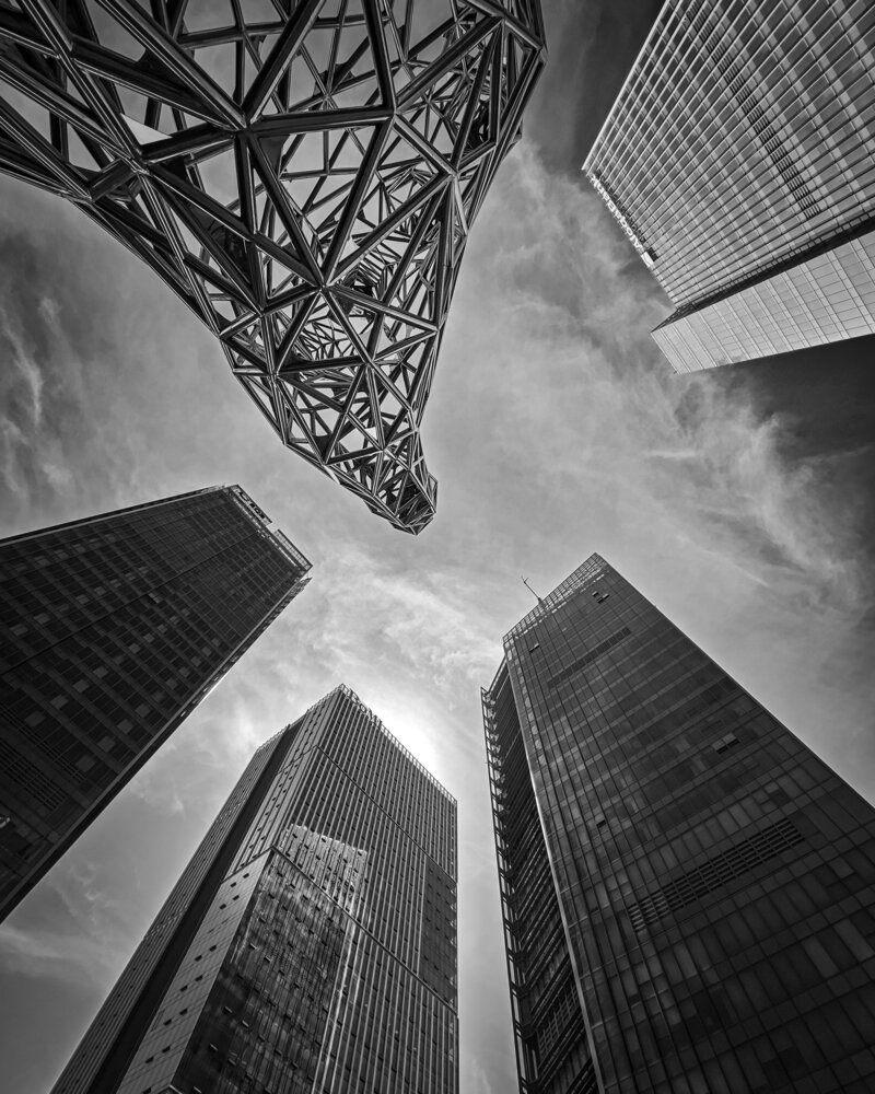 in strict monochrome
