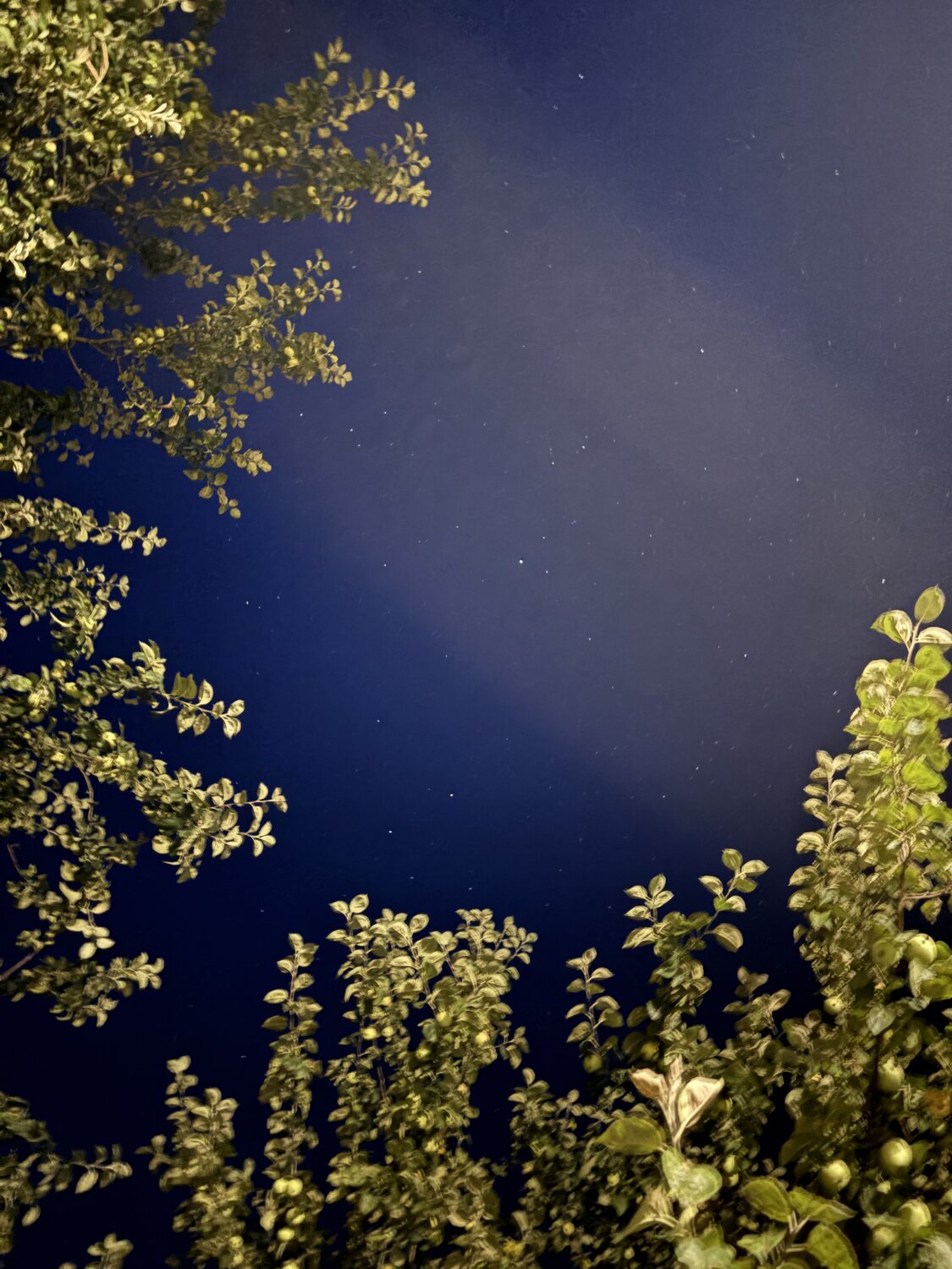 Photo #14159734