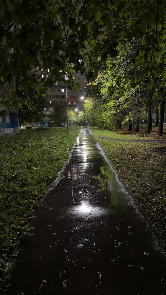 Мокрый вечер