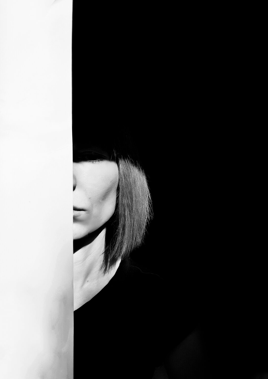 Photo #14160067