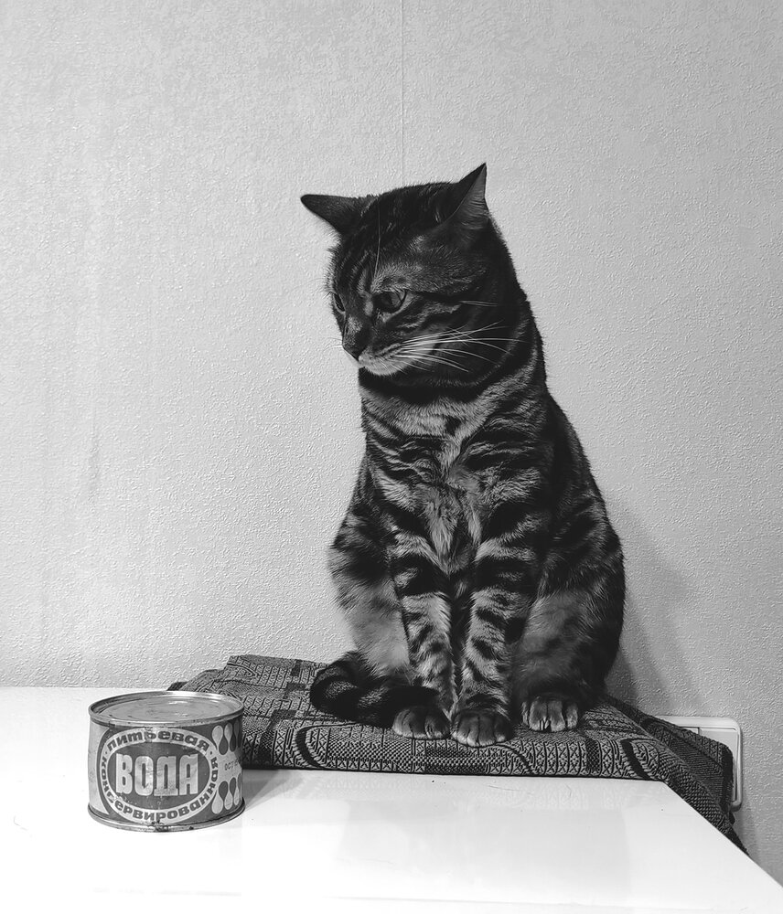 Воды котам!..))