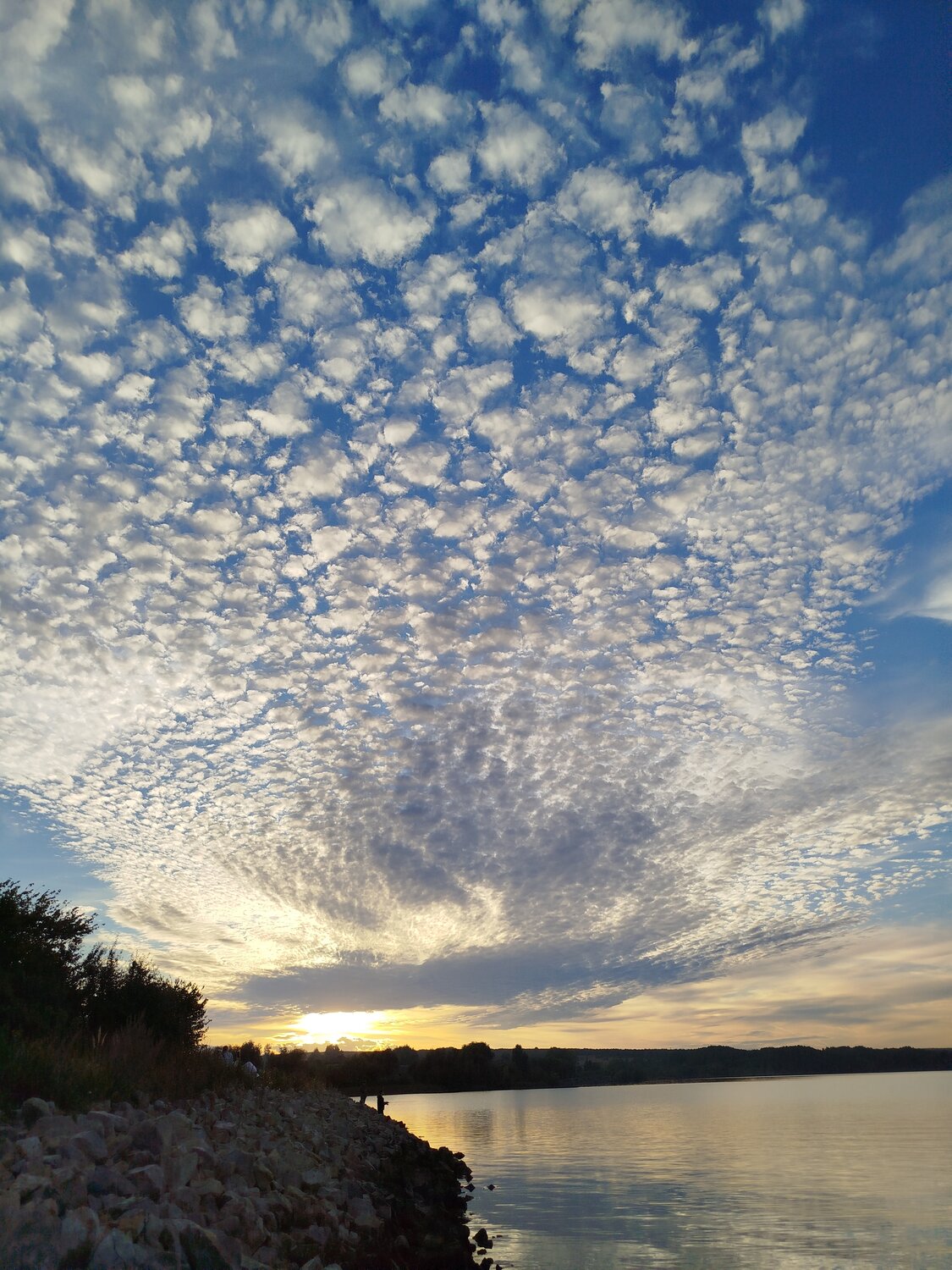 Photo #14160249