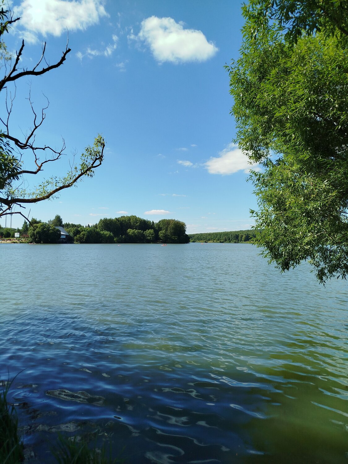 Photo #14160274