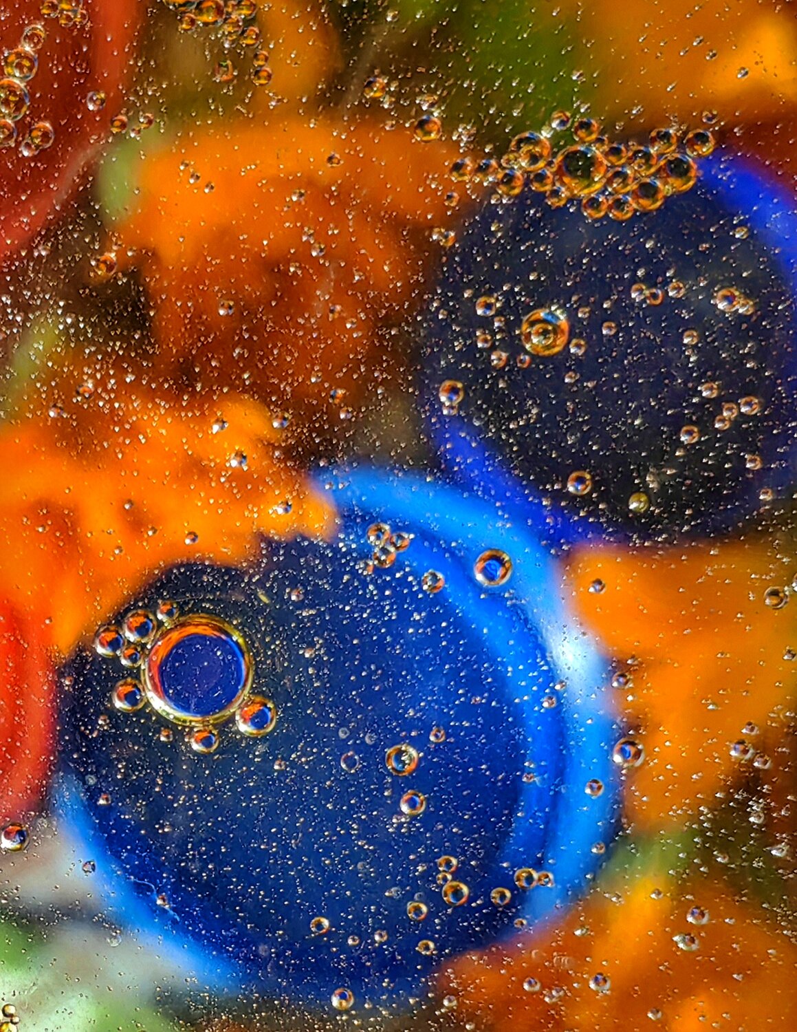 Photo #14160443