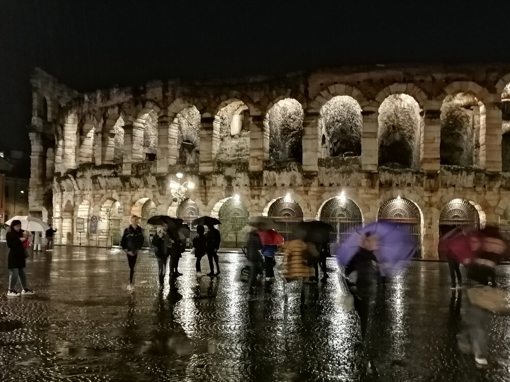 Echoes in the Rainworn Arena