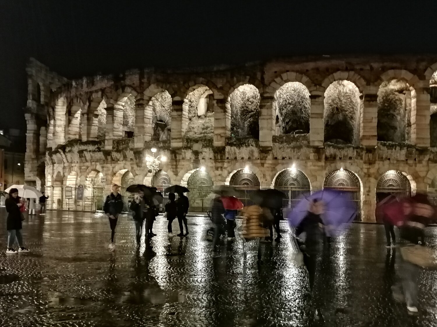 Echoes in the Rainworn Arena