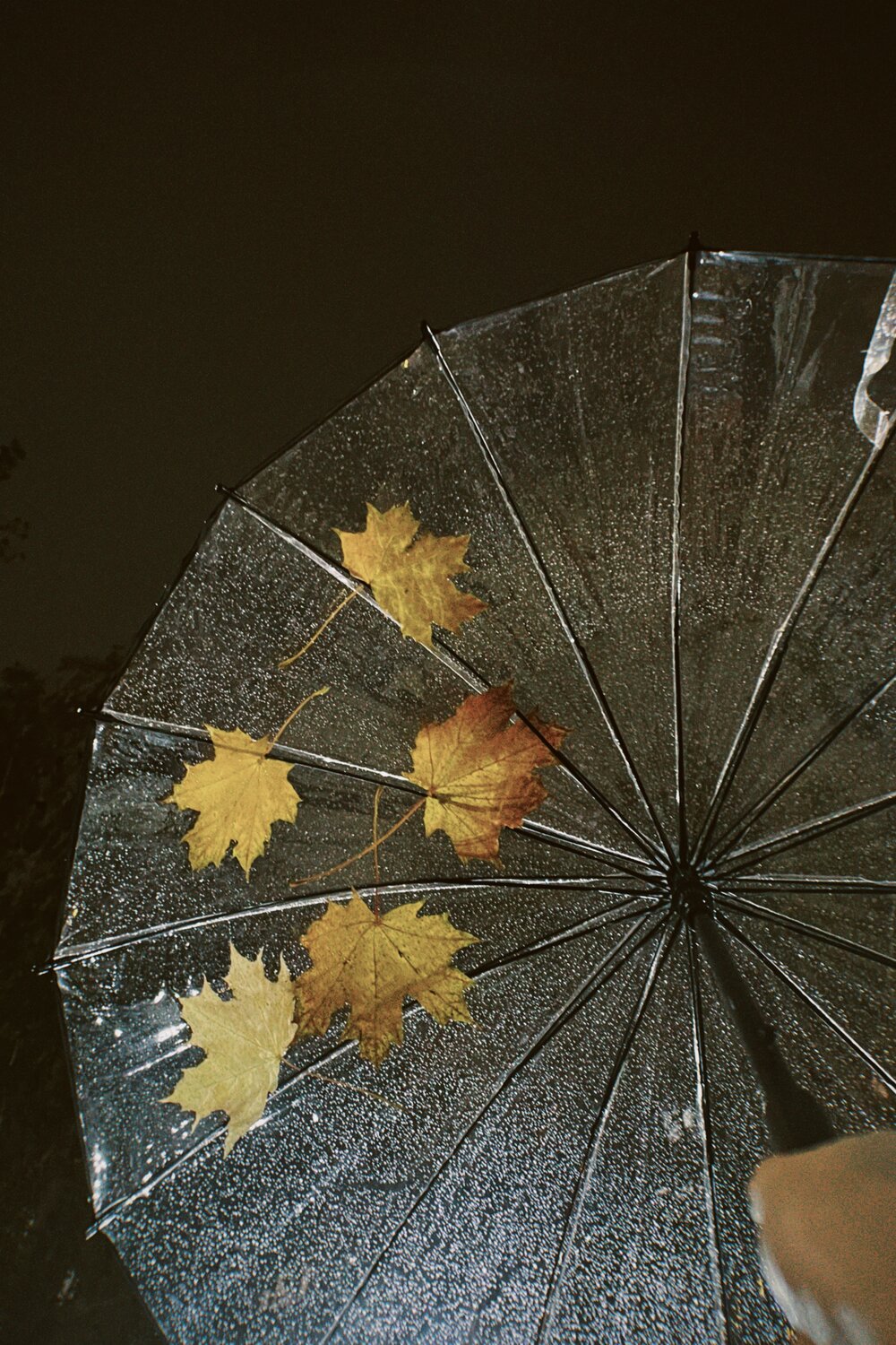 Photo #14160846