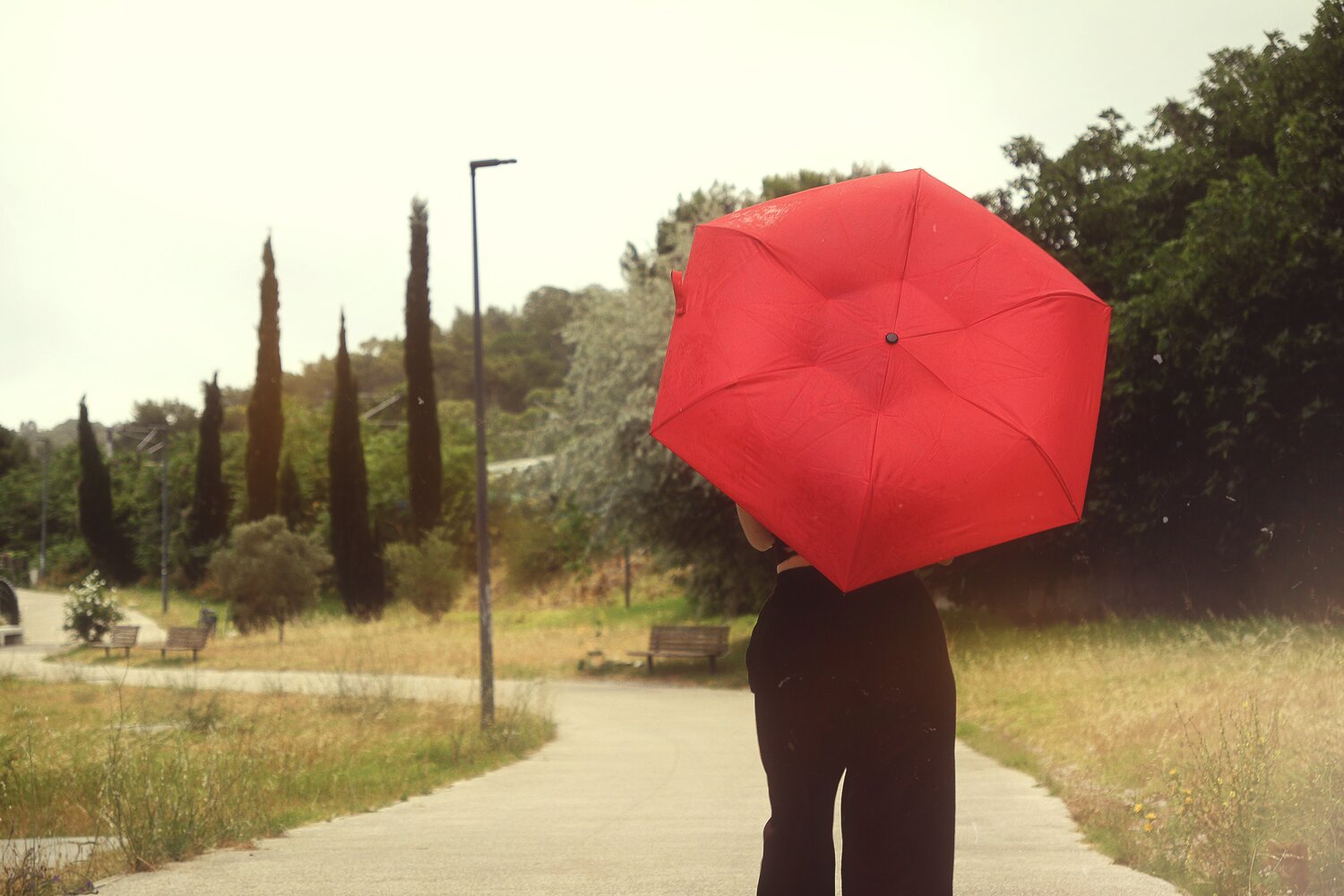 Photo #14161082